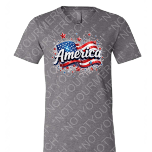Graphic t-shirt featuring an America script design with flag-inspired elements